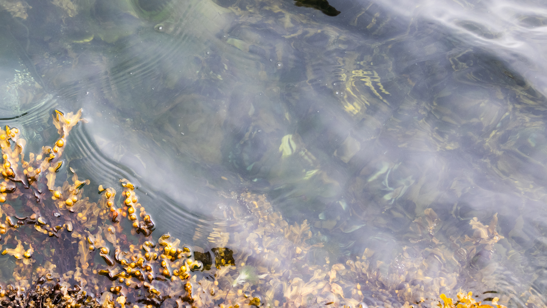 Good water, great skin: Why we never use tap water in our skincare products