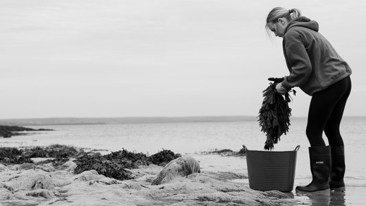 How Seaweed Thrives Without Fresh Water, Soil or Fertiliser